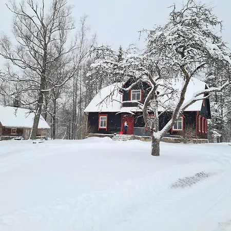 Zirgu Seta 