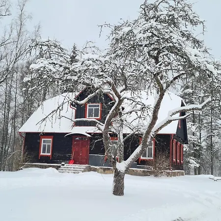 Zirgu Seta 
