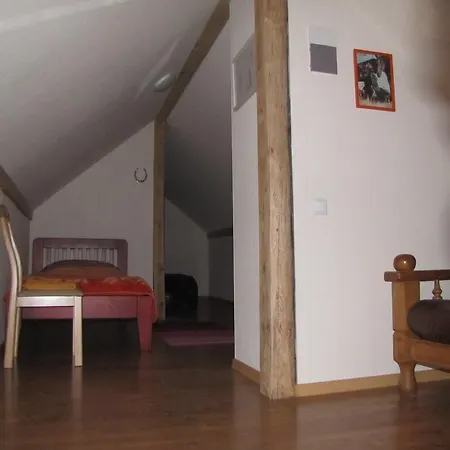 Zirgu Seta 