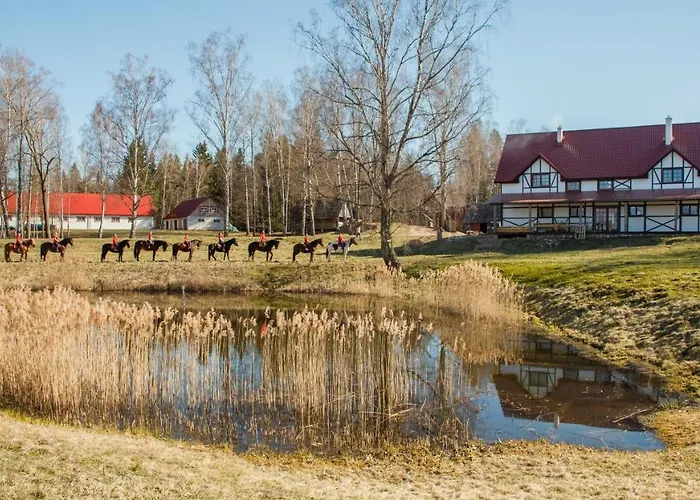 Zirgu Seta \