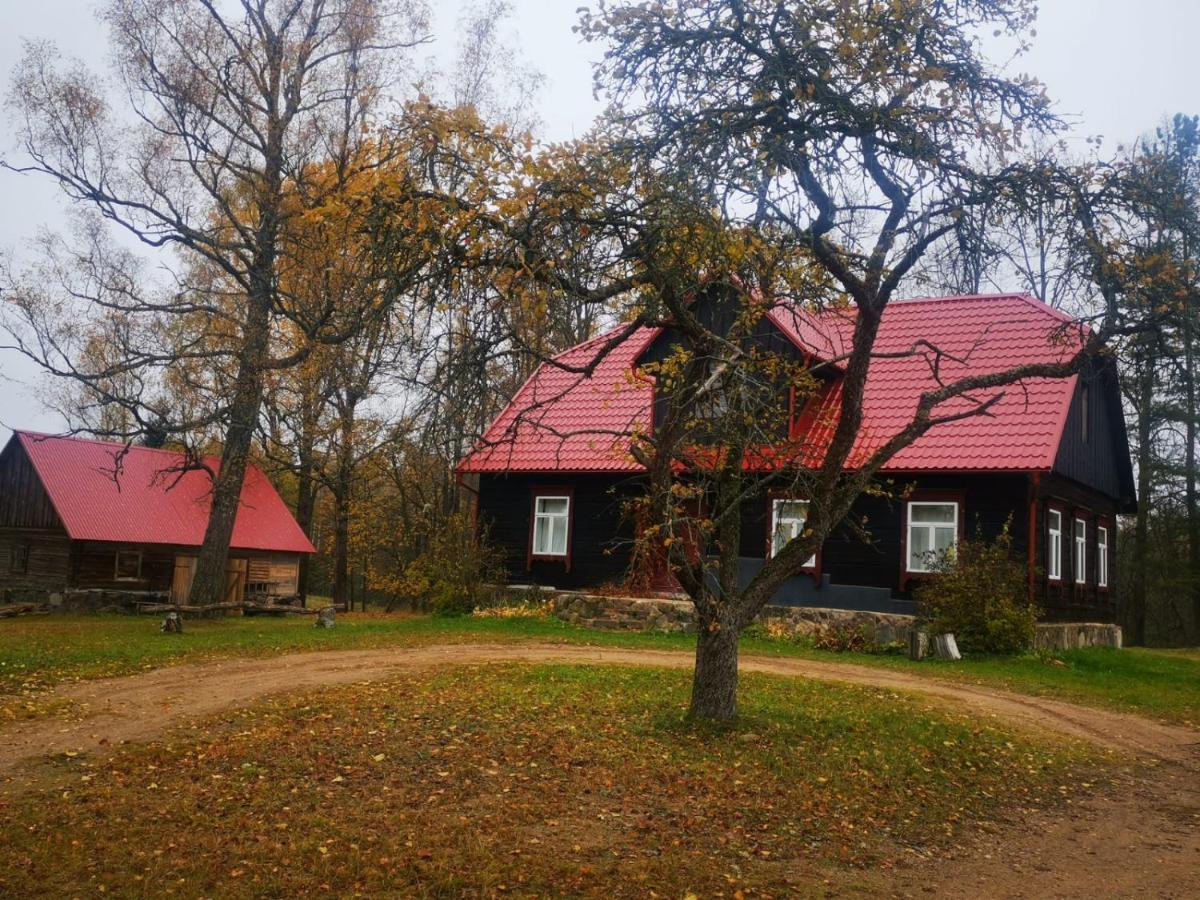 Zirgu Seta 