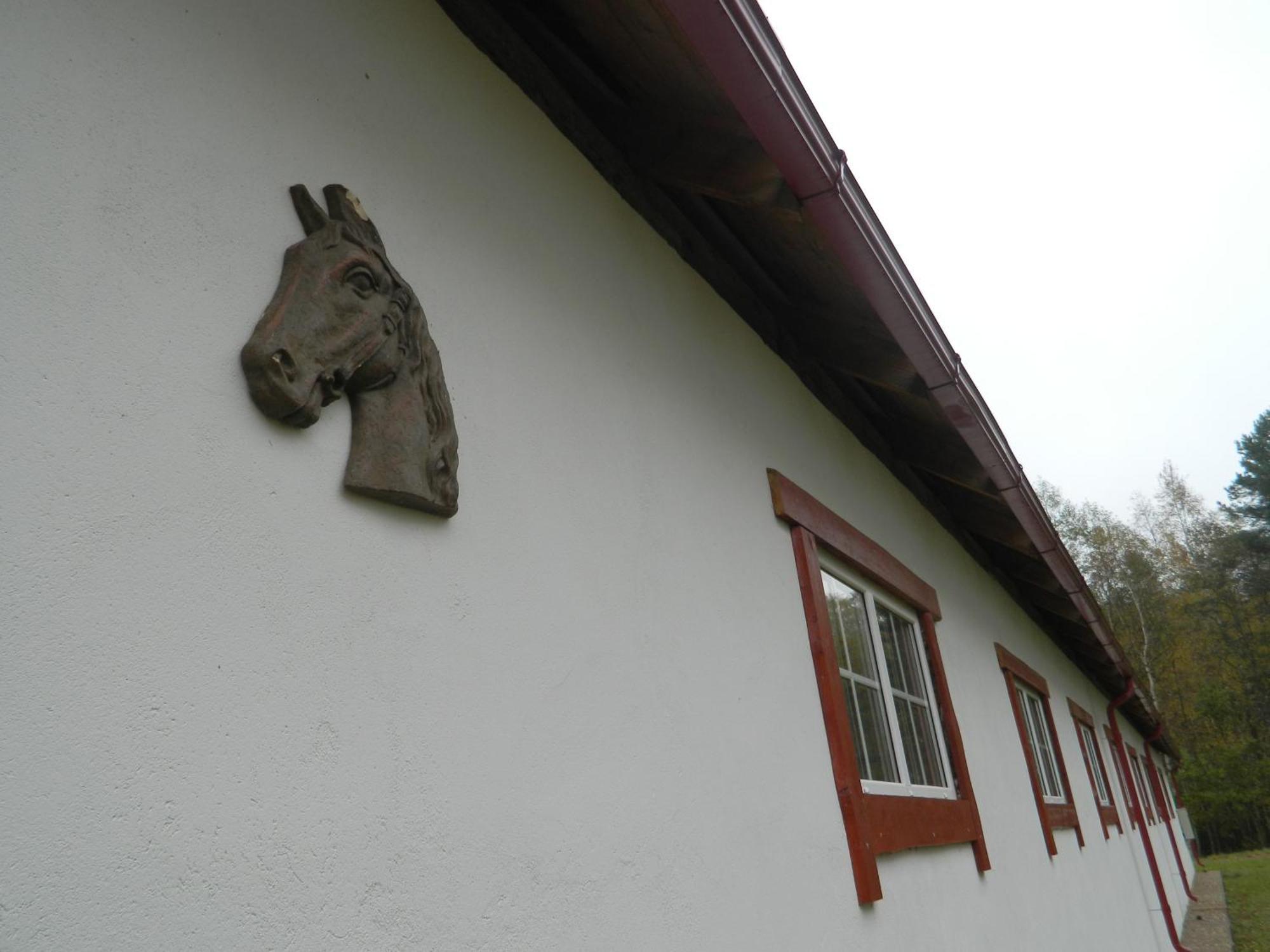 Zirgu Seta 