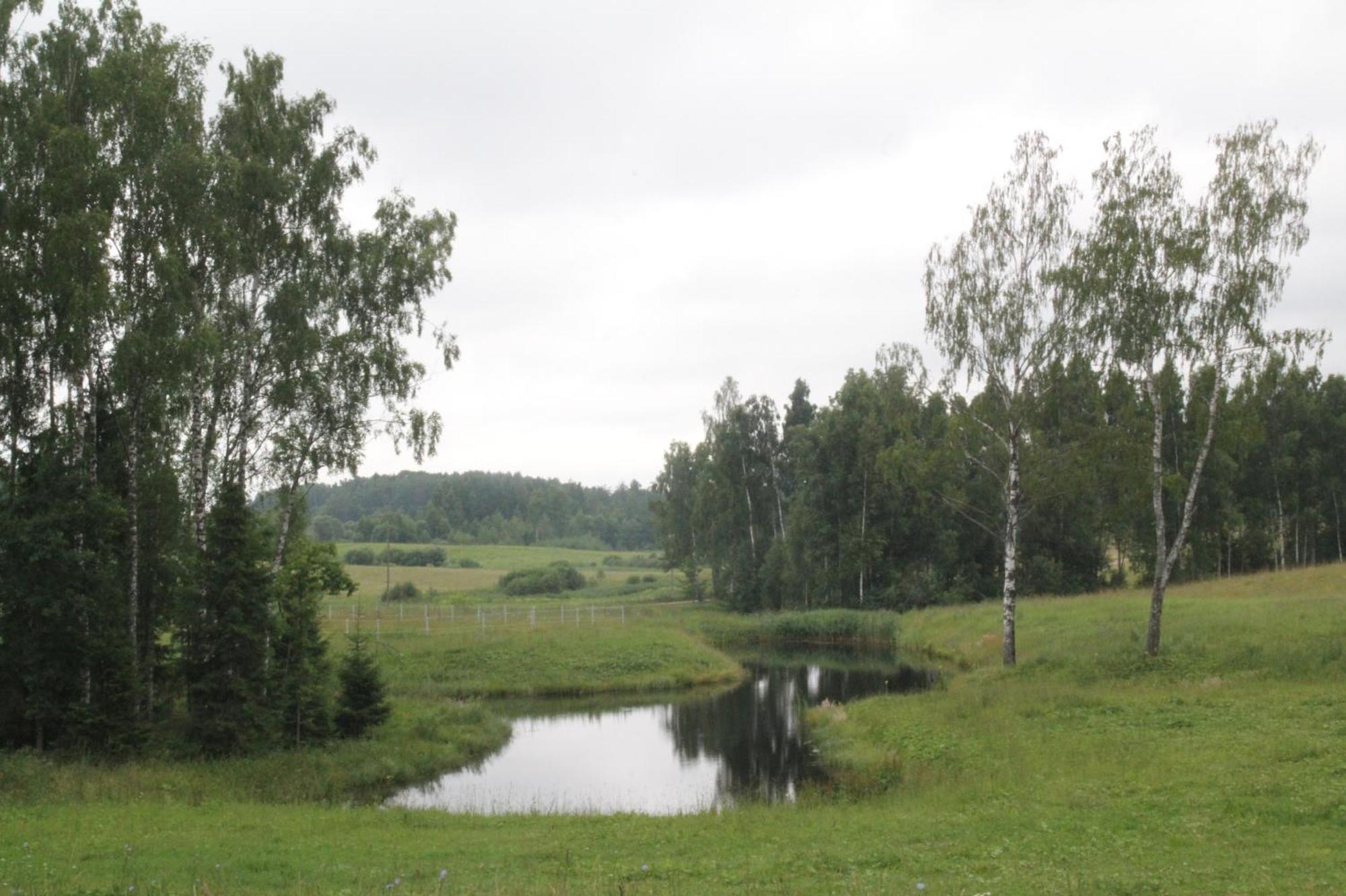 Zirgu Seta 